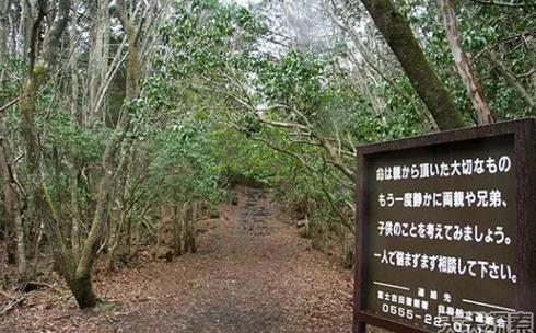 ȫ����׃�B��10���ط�����^������ȥ��