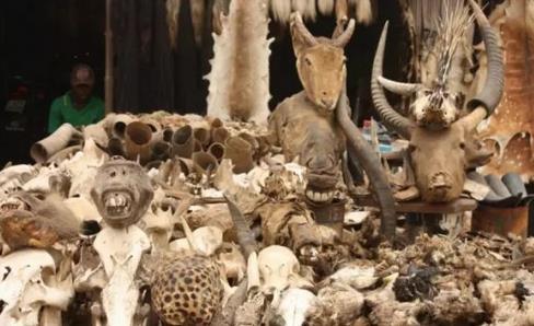 ȫ����׃�B��10���ط�����^������ȥ��